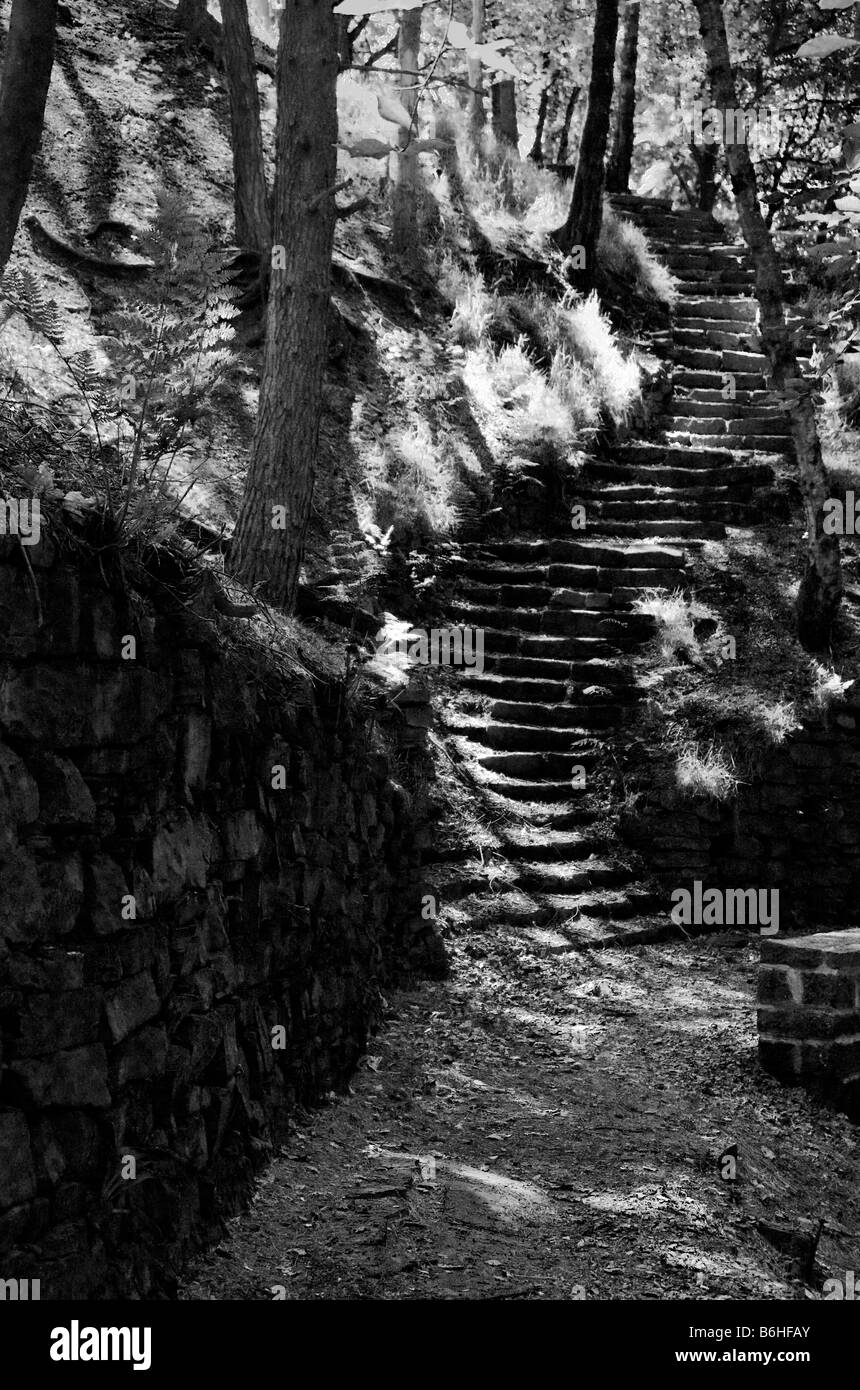 Chinesische Gärten der Rivington. Stockfoto