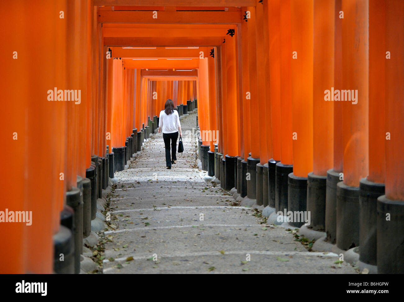 Orange lackiert Torii-Tore im Fushimi Inari-Taisha-Schrein in Kyoto, Japan Stockfoto
