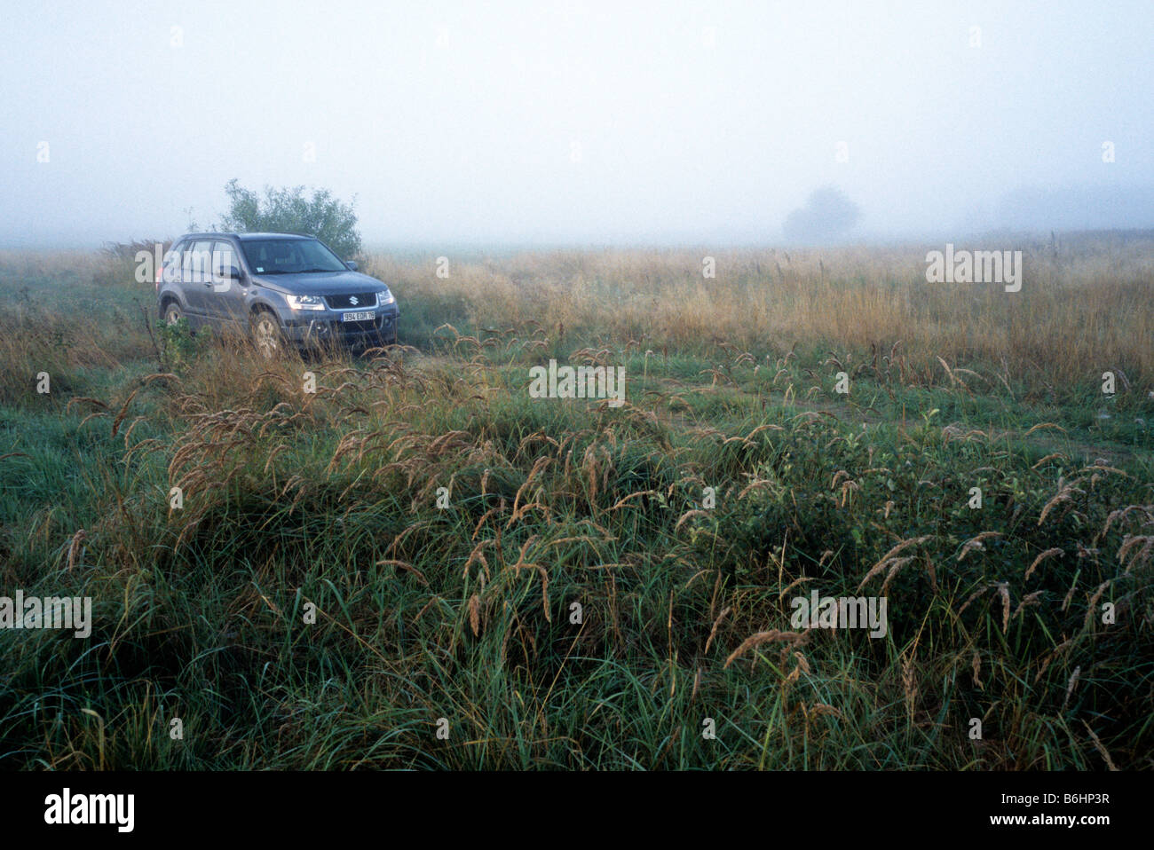Polen Dorf Suzuki Grand Vitara Geländewagen im morgendlichen Nebel Nebel Stockfoto