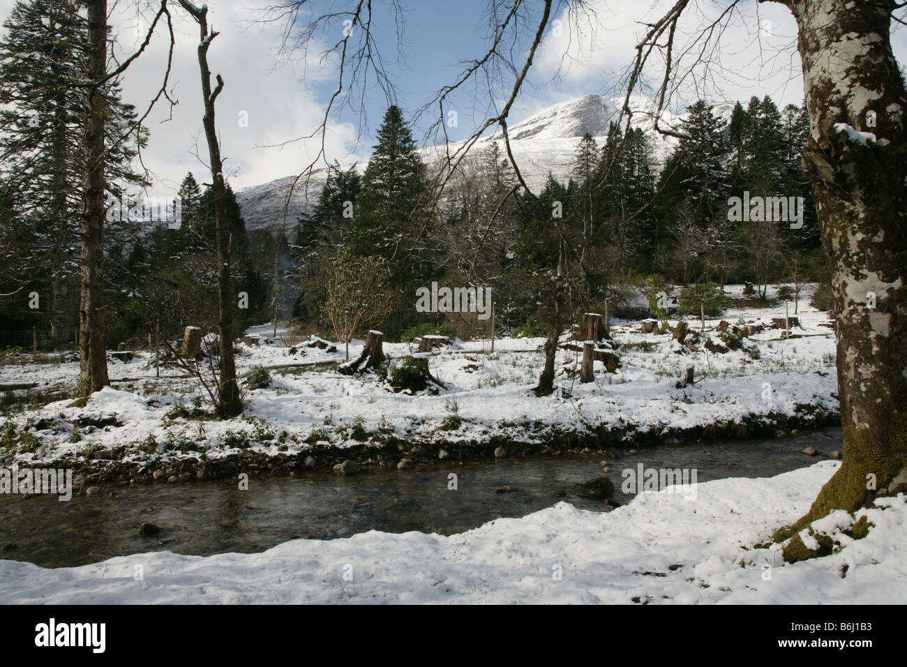 Winter-Szene in den schottischen Highlands. Stockfoto