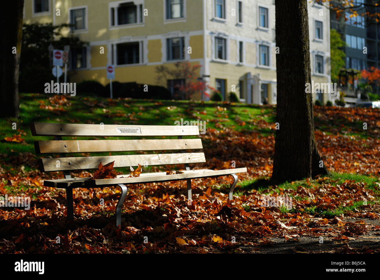 Holzbank im Park Herbstsaison Boden bedeckt mit braunen Blätter Vancouver Kanada Stockfoto