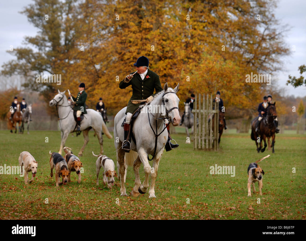 DIE BEAUFORT JAGEN LED DURCH JOINT MASTER KAPITÄN IAN FARQUHAR IN DER NÄHE IHRER BADMINTON ZWINGER GLOUCESTERSHIRE UK Stockfoto