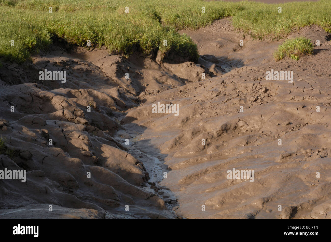 Salzwiesen und Watt Goldcliff Gwent Ebenen Newport Wales UK Europe Stockfoto