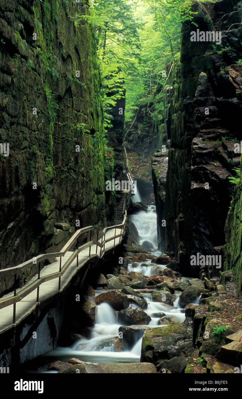 Lincoln, NH Flume im Franconia Notch State Park. White Mountains, New Hampshire. Stockfoto