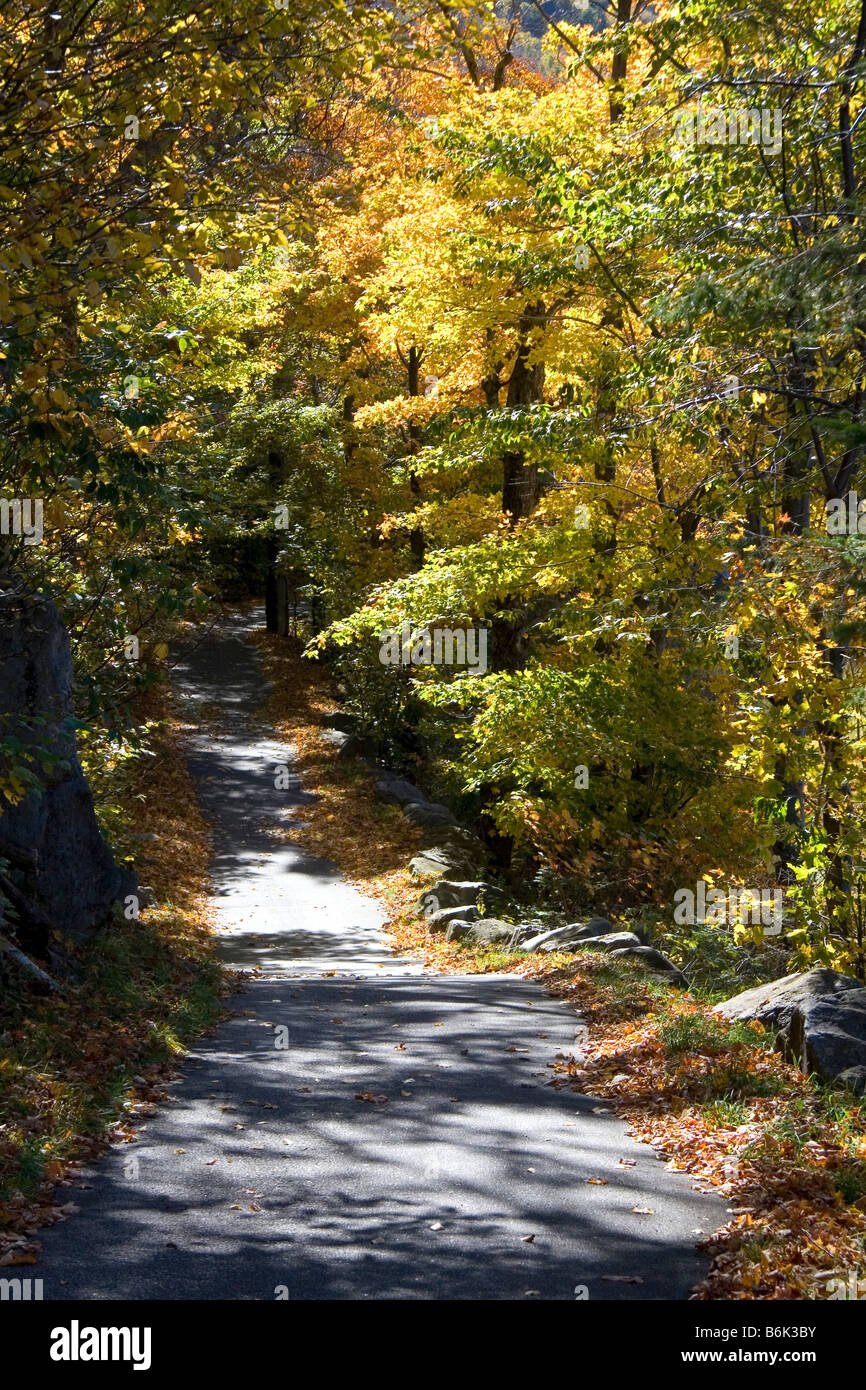 Von Bäumen gesäumten Spazierweg in den Franconia Notch State Park New Hampshire USA Stockfoto