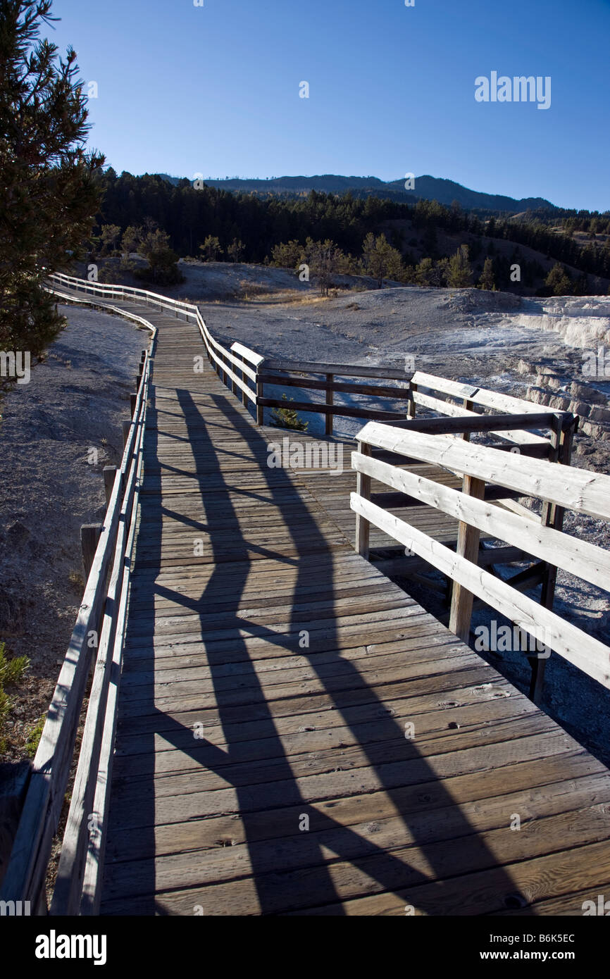 Boardwalk am Mammoth Hot Springs, Yellowstone-Nationalpark; Wyoming; USA; Stockfoto