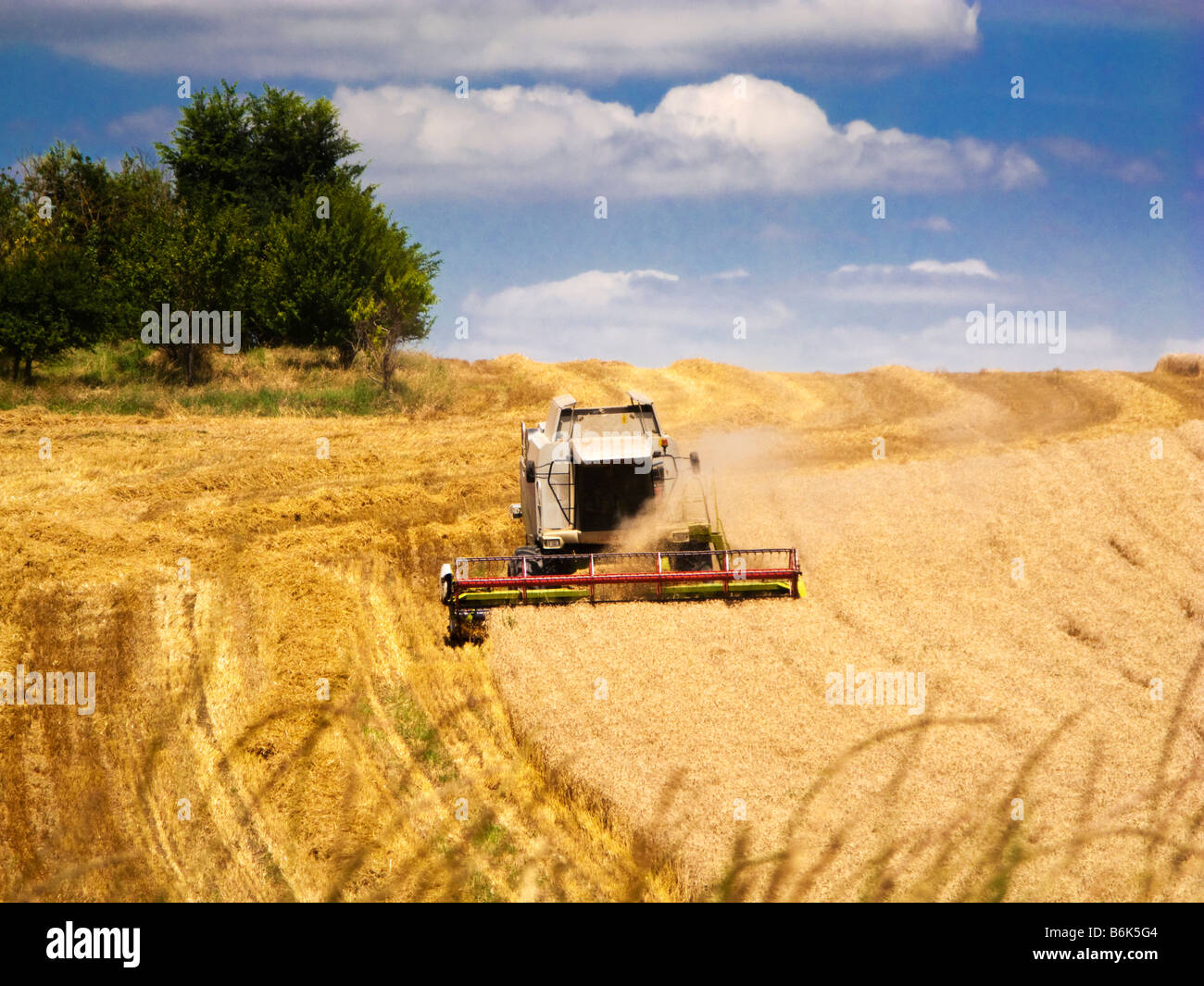 Mähdrescher beim Ernten von Weizen in Tarn et Garonne Süd-West Frankreich Europa Stockfoto