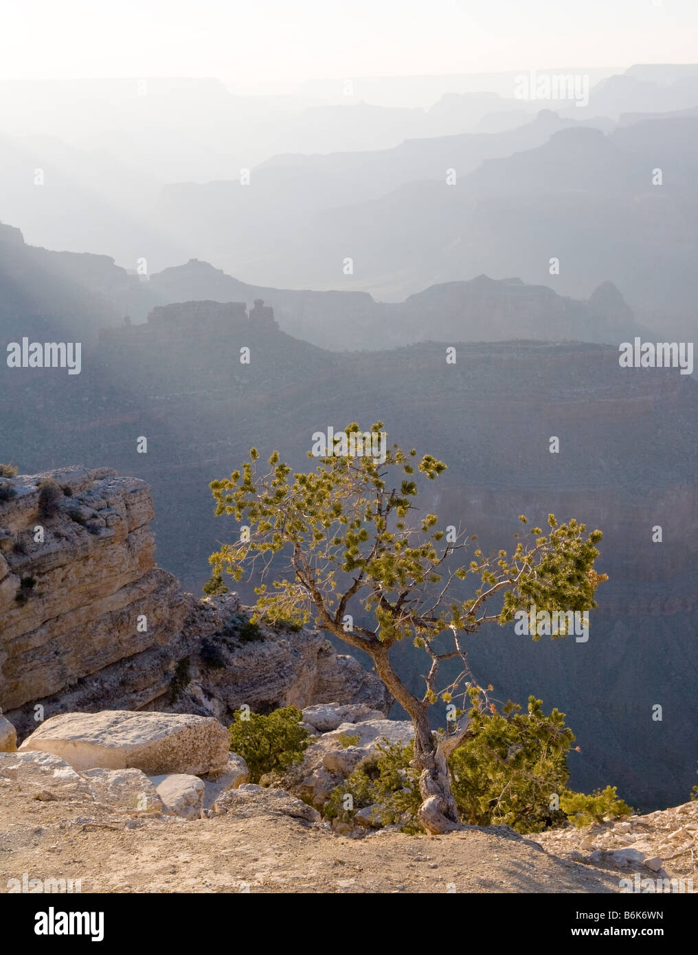 Morgenlicht filtert durch den Dunst in den Grand Canyon. Stockfoto