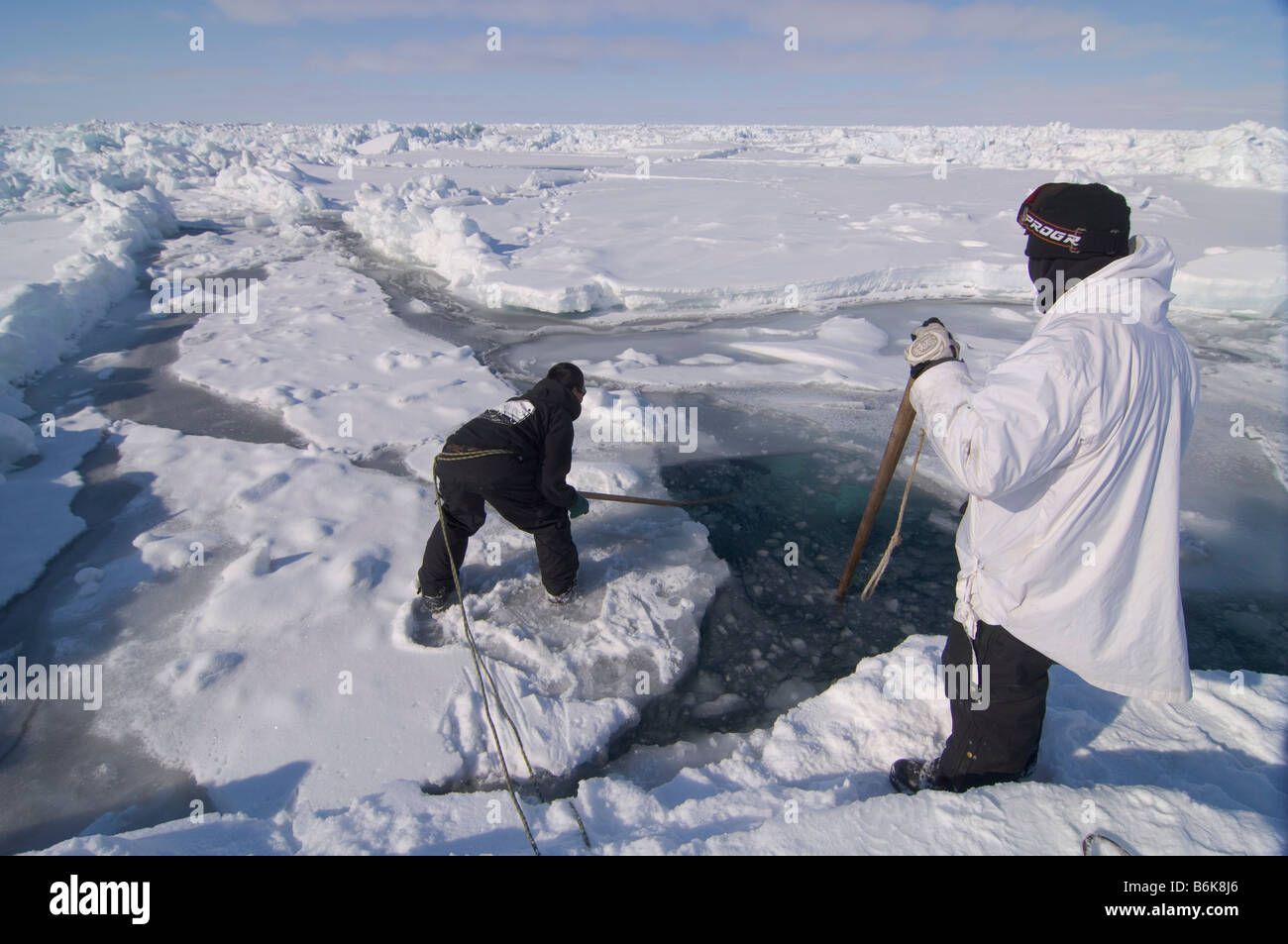 Inupiaq Subsistenz Jäger öffnet ein Loch in das Packeis für potentielle Tierwelt Tschuktschensee passieren Stockfoto