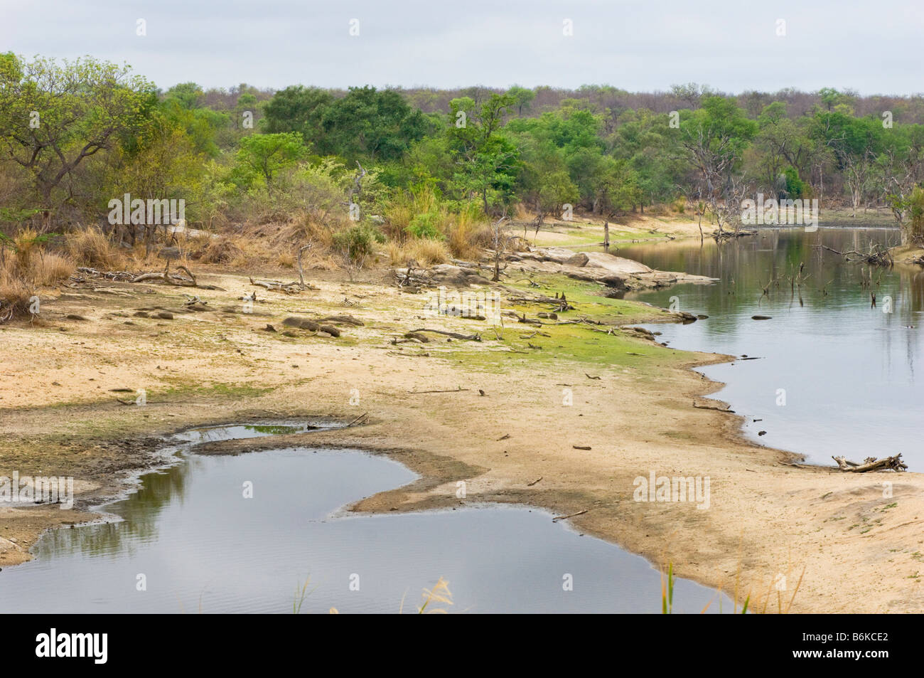 Wasserloch Wasserloch Fluss Flussbett Bett weiten Blick Landschaft Süd Afrika rote Wüstenstaub Feldweg fahren weg Safari Savanne wo Stockfoto