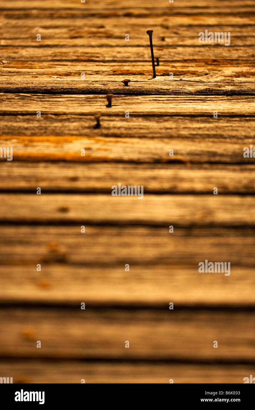 Rostige Nägel in Folge in Holz, einer von ihnen implantiert herausragen selektiven Fokus Stockfoto