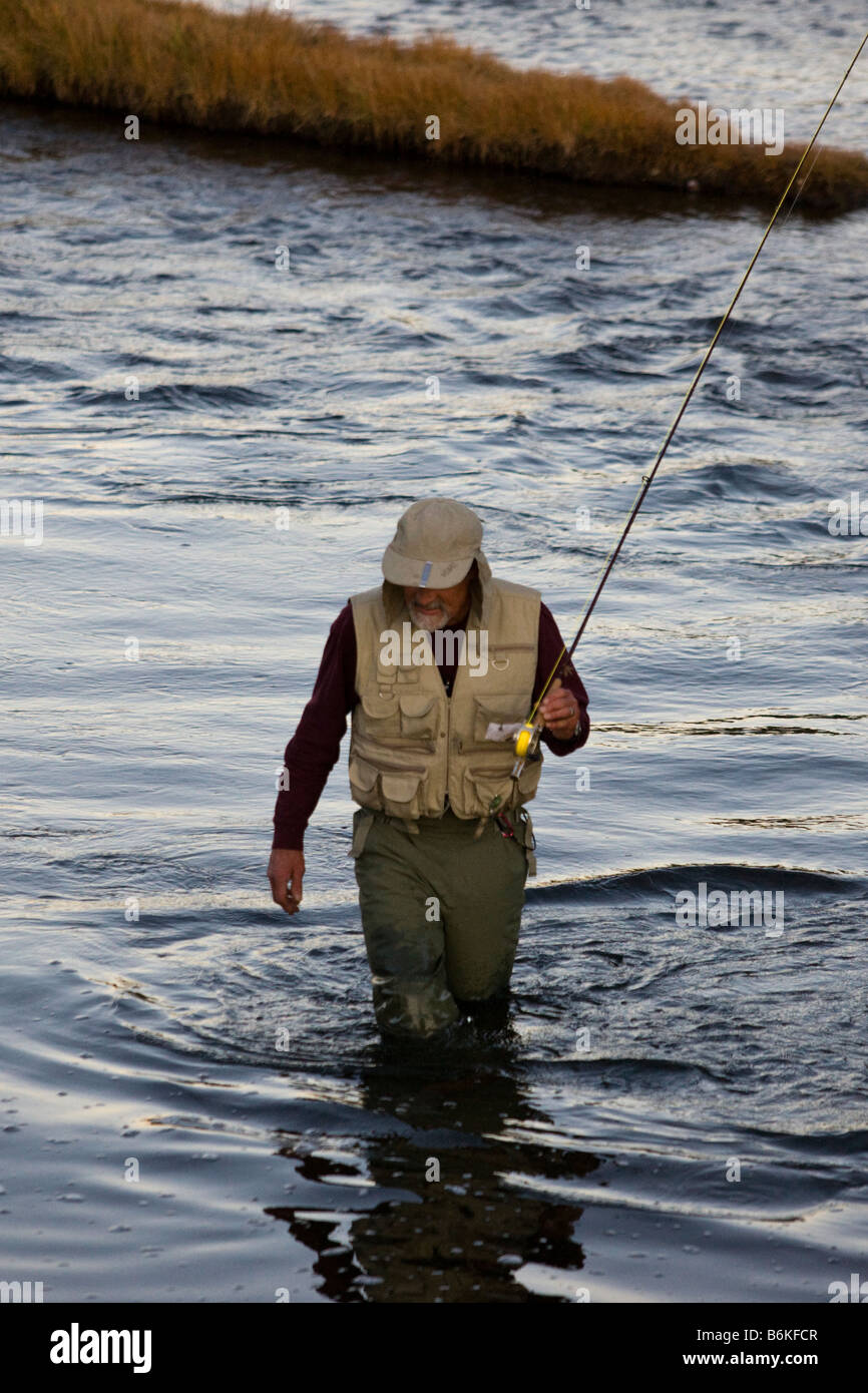 Fliegen Sie-Fischer, Madison River, Yellowstone-Nationalpark, Wyoming, USA Stockfoto