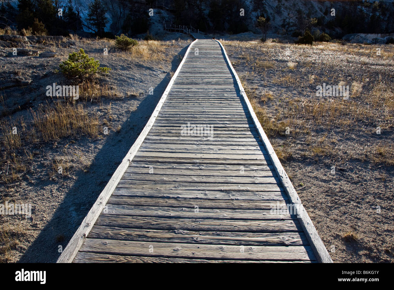 Boardwalk am Mammoth Hot Springs, Yellowstone-Nationalpark; Wyoming; USA; Stockfoto