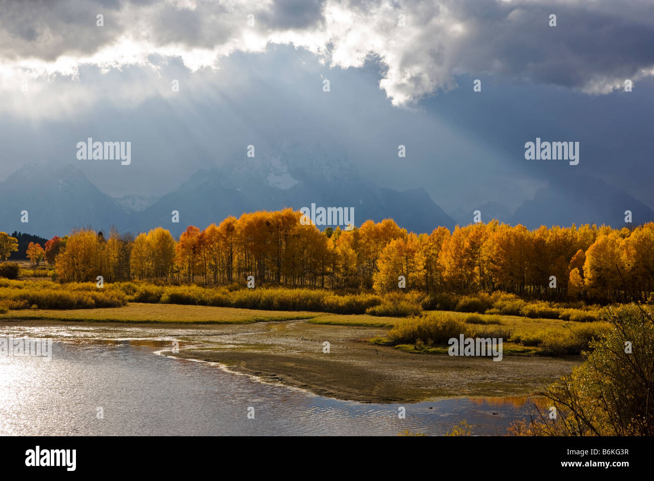 Teton Mountains und Espe Bäume im Herbst, goldener Blick von Oxbow Bend, Snake River, Grand-Teton-Nationalpark, Wyoming, USA Stockfoto