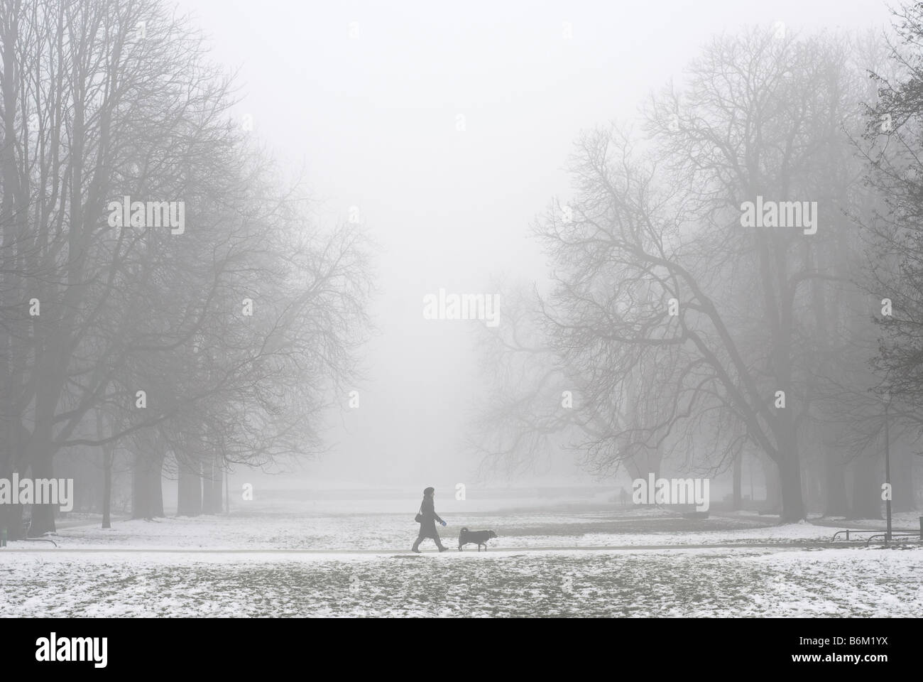 Lady, die ein Hund an einem nebeligen Wintertag Stockfoto