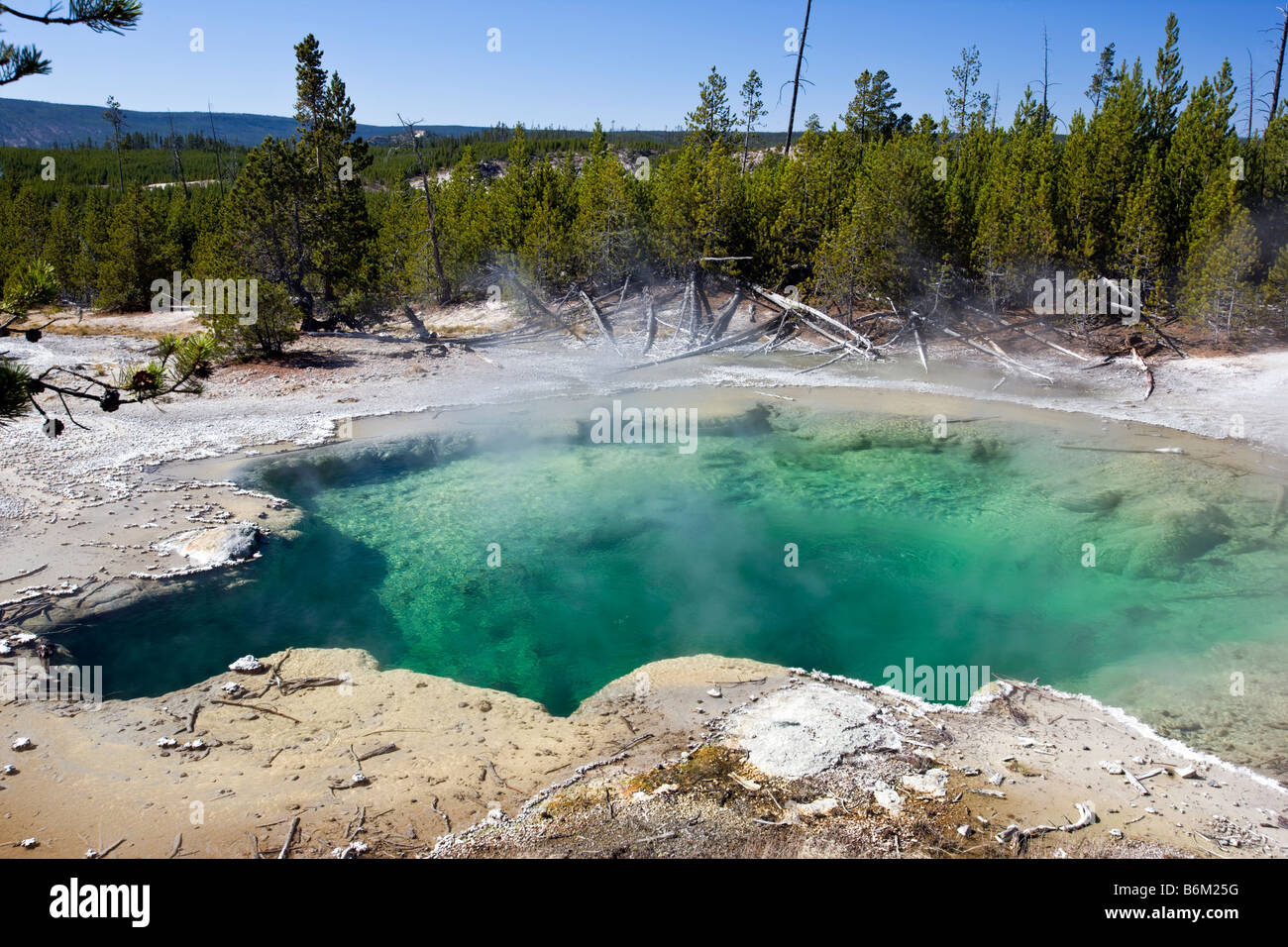 Emerald Frühling, Rücken-Becken, Norris Geyser Basin, Yellowstone-Nationalpark; Wyoming; USA; Stockfoto