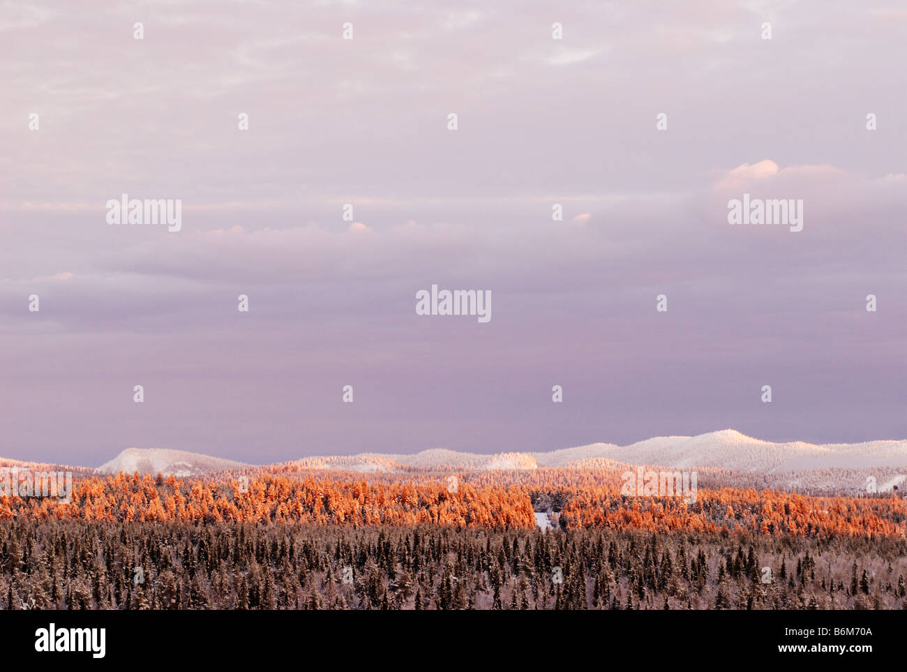 Hügel und Wald, Kuusamo, Finnland Stockfoto