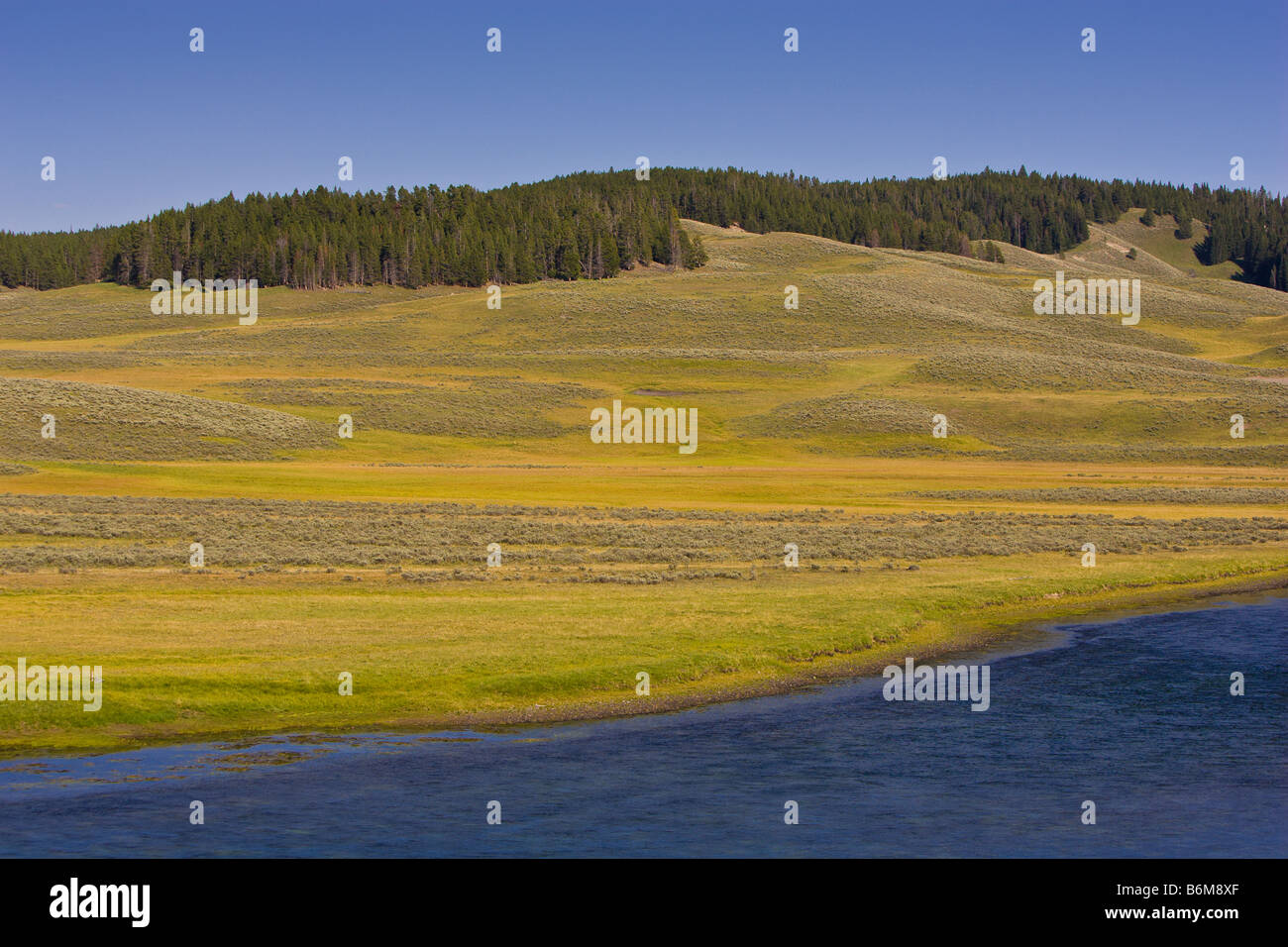YELLOWSTONE NATIONAL PARK WYOMING USA Yellowstone River Stockfoto
