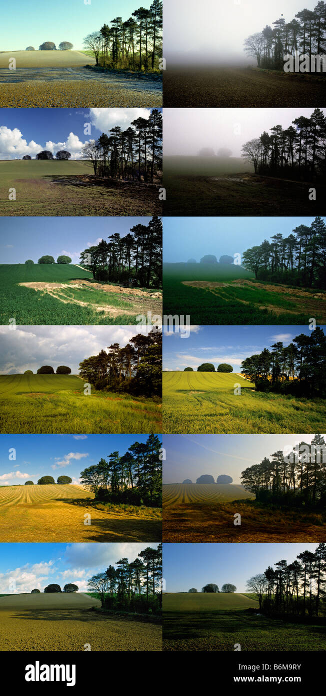 Mehreren 12 x Bild vertikale Montage - The Ancient Ridgeway, Wiltshire, UK. Stockfoto