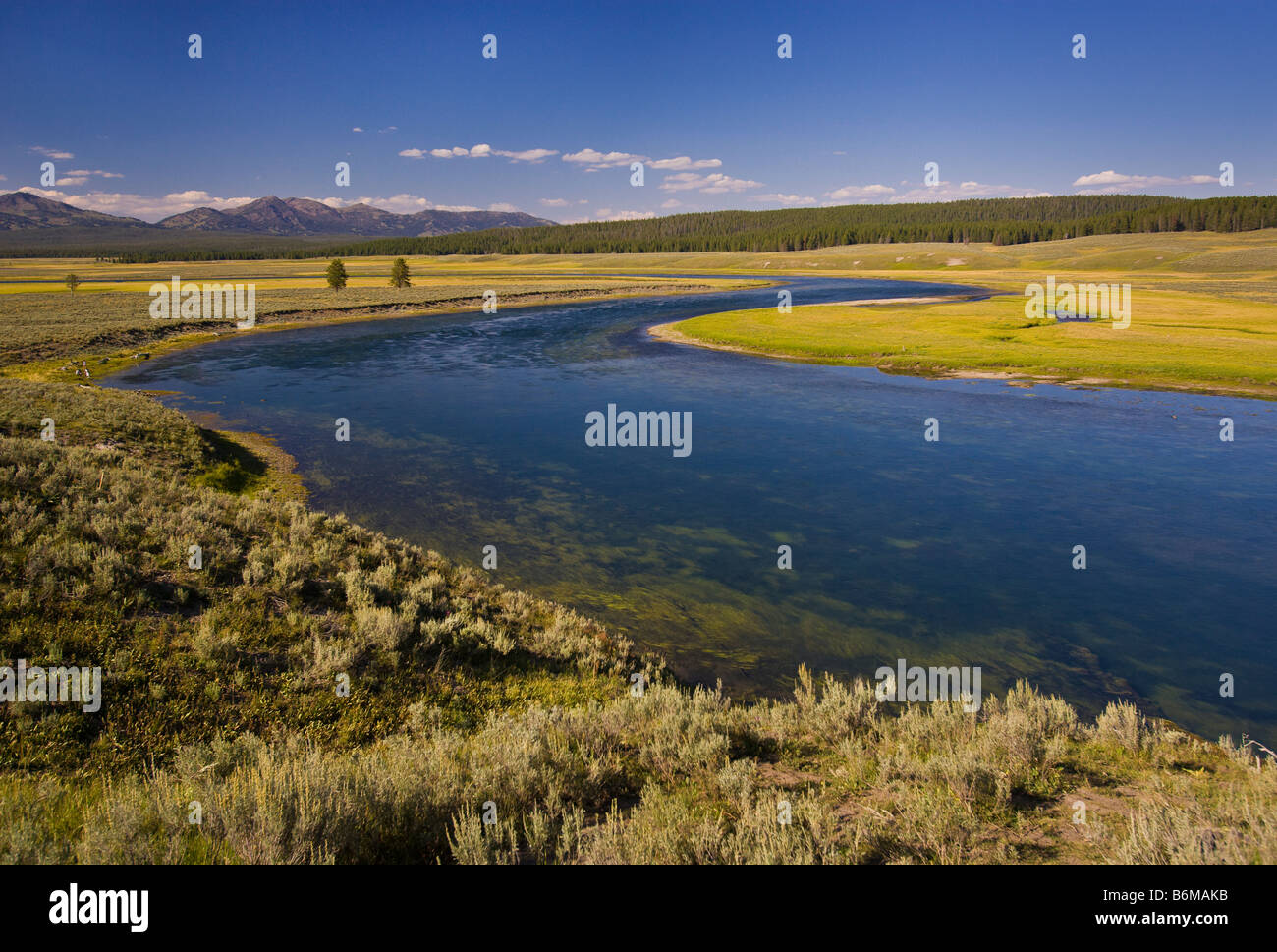 YELLOWSTONE-Nationalpark, WYOMING, USA - Yellowstone River Stockfoto