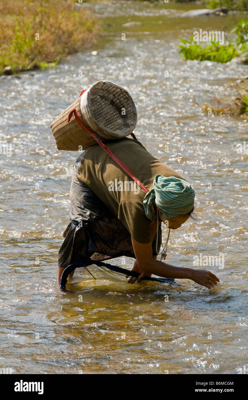 Karen burmesische Flüchtlinge auf der Suche nach Schnecken und andere Esswaren im Fluss in der Nähe von Mae Sot, Thailand Stockfoto