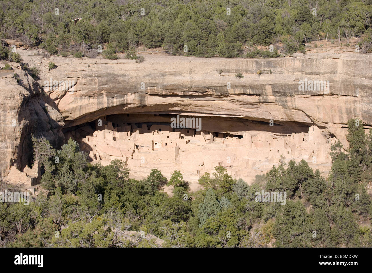 Cliff Palace, Mesa Verde National Park in Colorado, USA Stockfoto