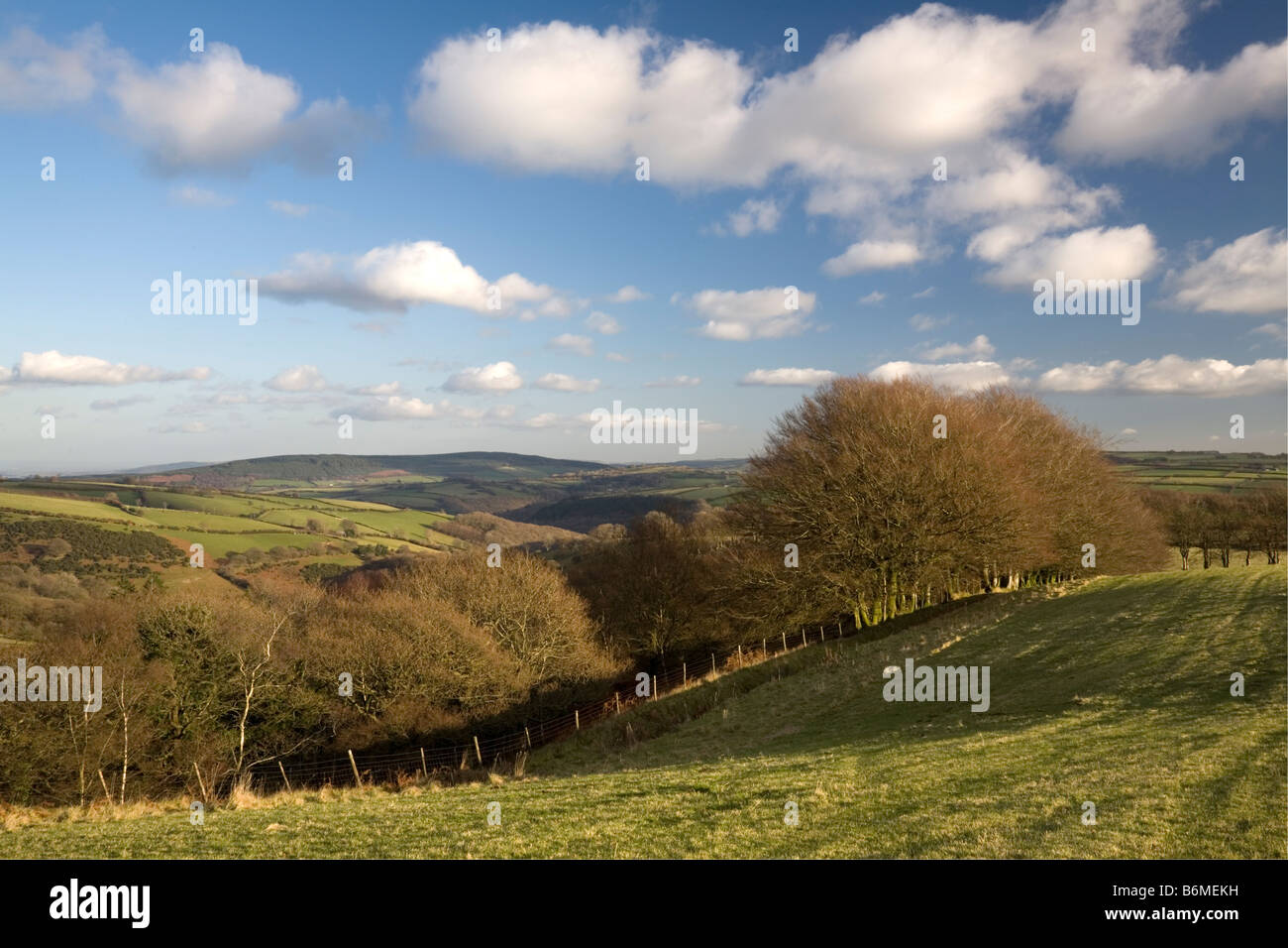 Mansley Combe und das Tal des Flusses Avill auf Exmoor, Somerset Stockfoto