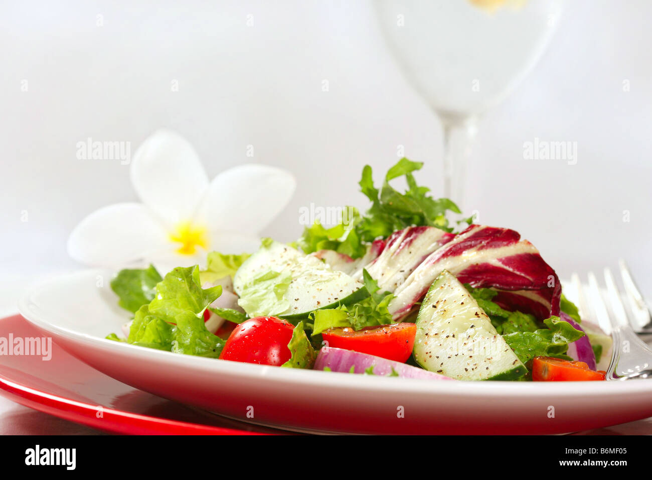 Gesunder Salat mit Cherry-Tomaten Gurken und rote Zwiebel auf weißem Hintergrund Stockfoto