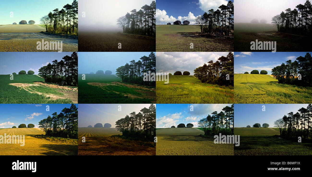 Mehreren 12 x Bild horizontale Montage - The Ancient Ridgeway, Wiltshire, UK. Stockfoto