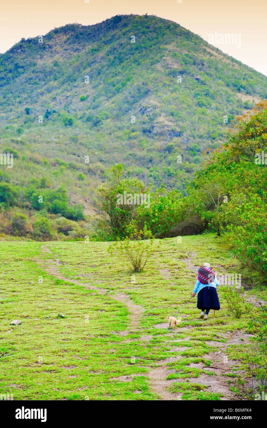 Der Wanderweg Stockfoto