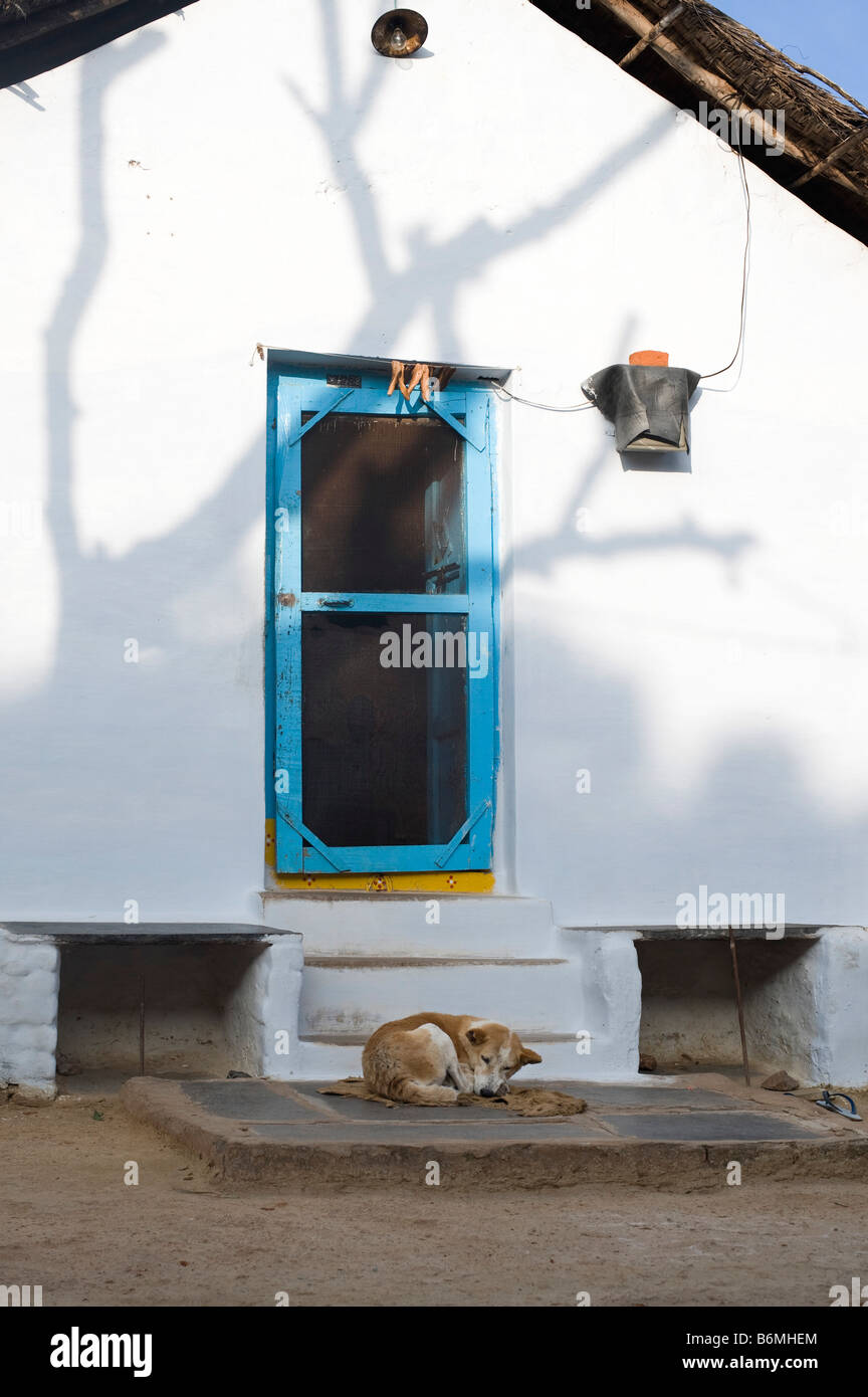 Hund vor einem indischen Dorfhaus schlafen. Andhra Pradesh, Indien Stockfoto