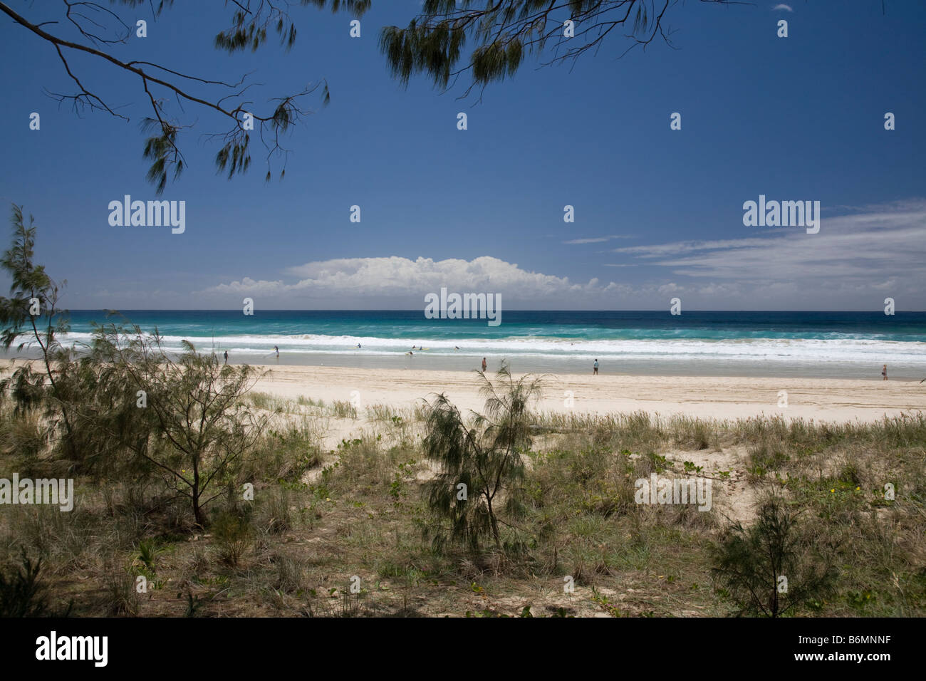 australischen Goldküste Strand und das Meer, queensland Stockfoto