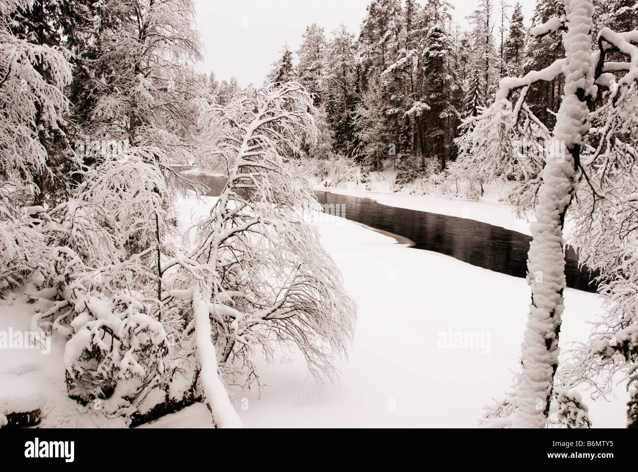 Oulanka national park winter Fotos und Bildmaterial in hoher