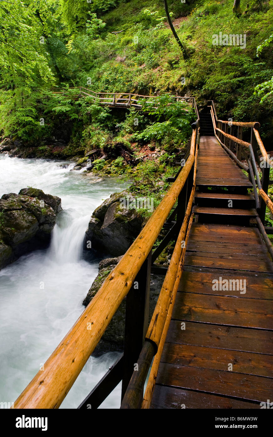Holzweg Trog schönen Canyon Fluss Stockfoto