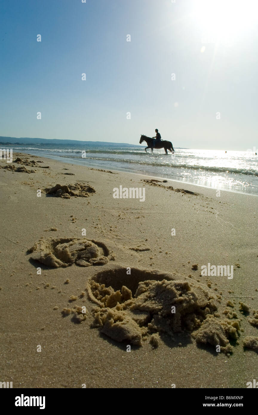 zu Fuß, zu Pferd am Strand Stockfoto