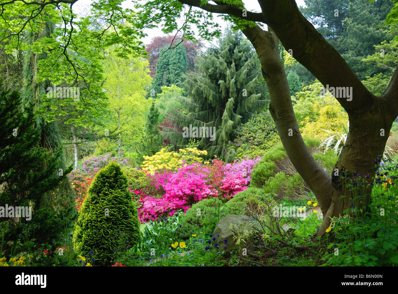 Fletcher Moss Garten Didsbury Manchester Uber 100 Jahre Alten Viktorianischen Steingarten Am Hang Gebaut Stockfotografie Alamy
