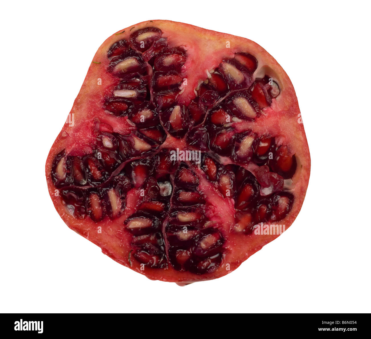 frische Granatapfel isoliert auf weißem Hintergrund Punica granatum Stockfoto