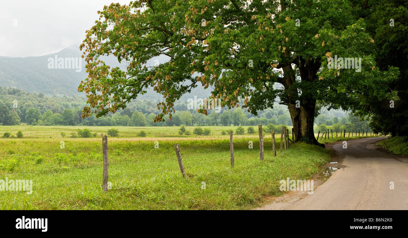 Ein Blick von einer Fahrt durch Cades Cove auf der Tennessee-Seite von Great Smoky Mountains National Park, Vereinigte Staaten. Stockfoto