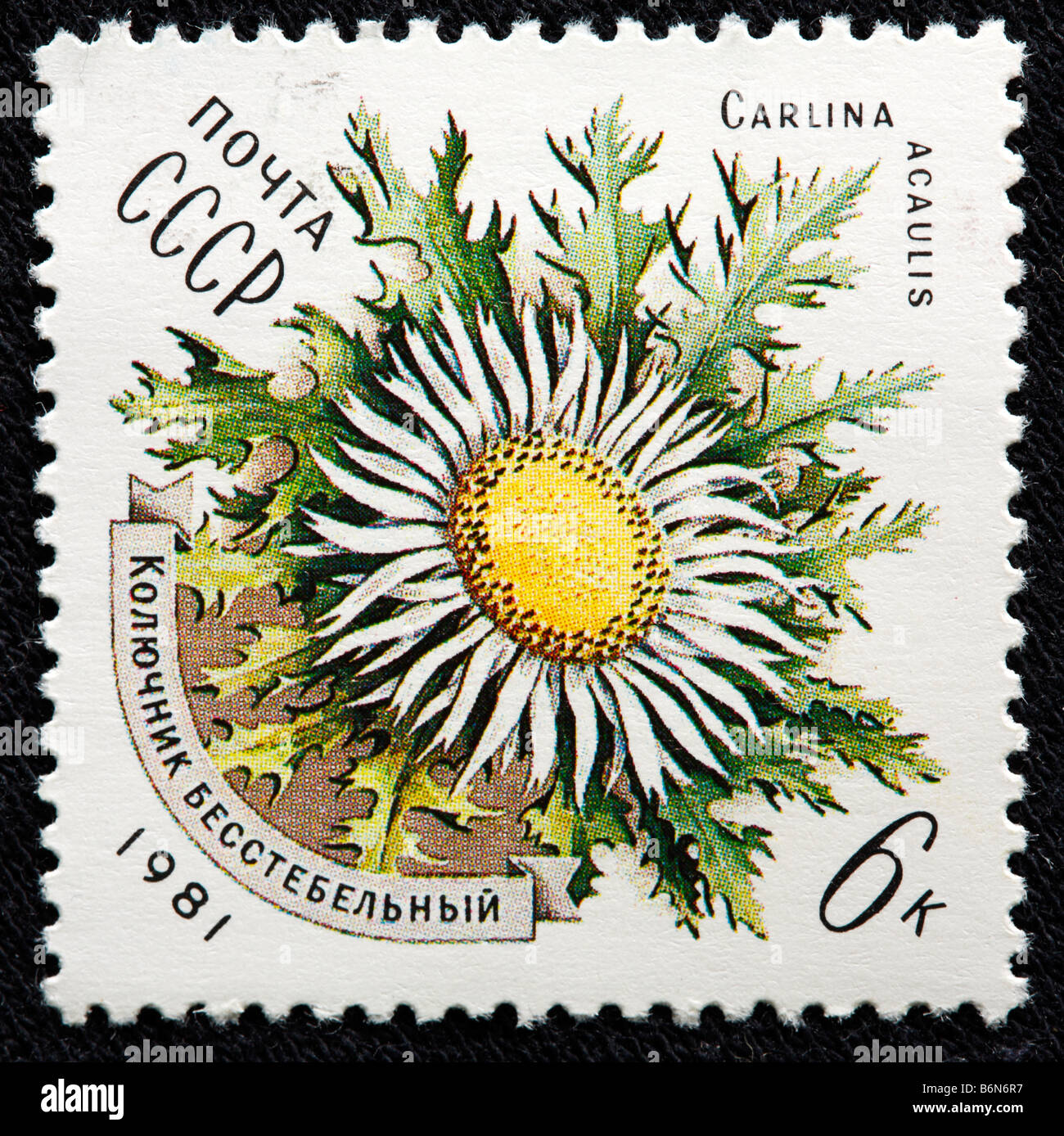 Carlina Acaulis (stammlose Carline Thistle Zwerg, Carline Thistle, Silberdistel), Blume, Briefmarke, UdSSR, Russland 1981 Stockfoto