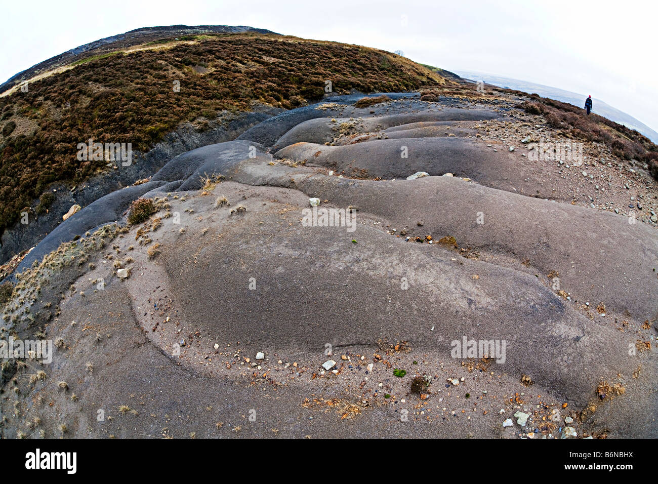 Verlassene Kohle verderben Heap wird zurückgefordert durch Moor Pwll Du Blaenavon Wales UK Stockfoto