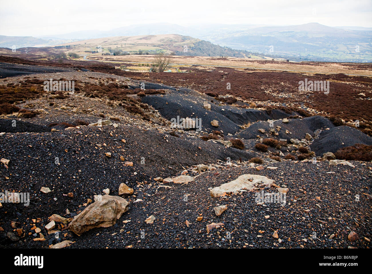 Verlassene Kohle verderben Heap wird zurückgefordert durch Moor Pwll Du Blaenavon Wales UK Stockfoto