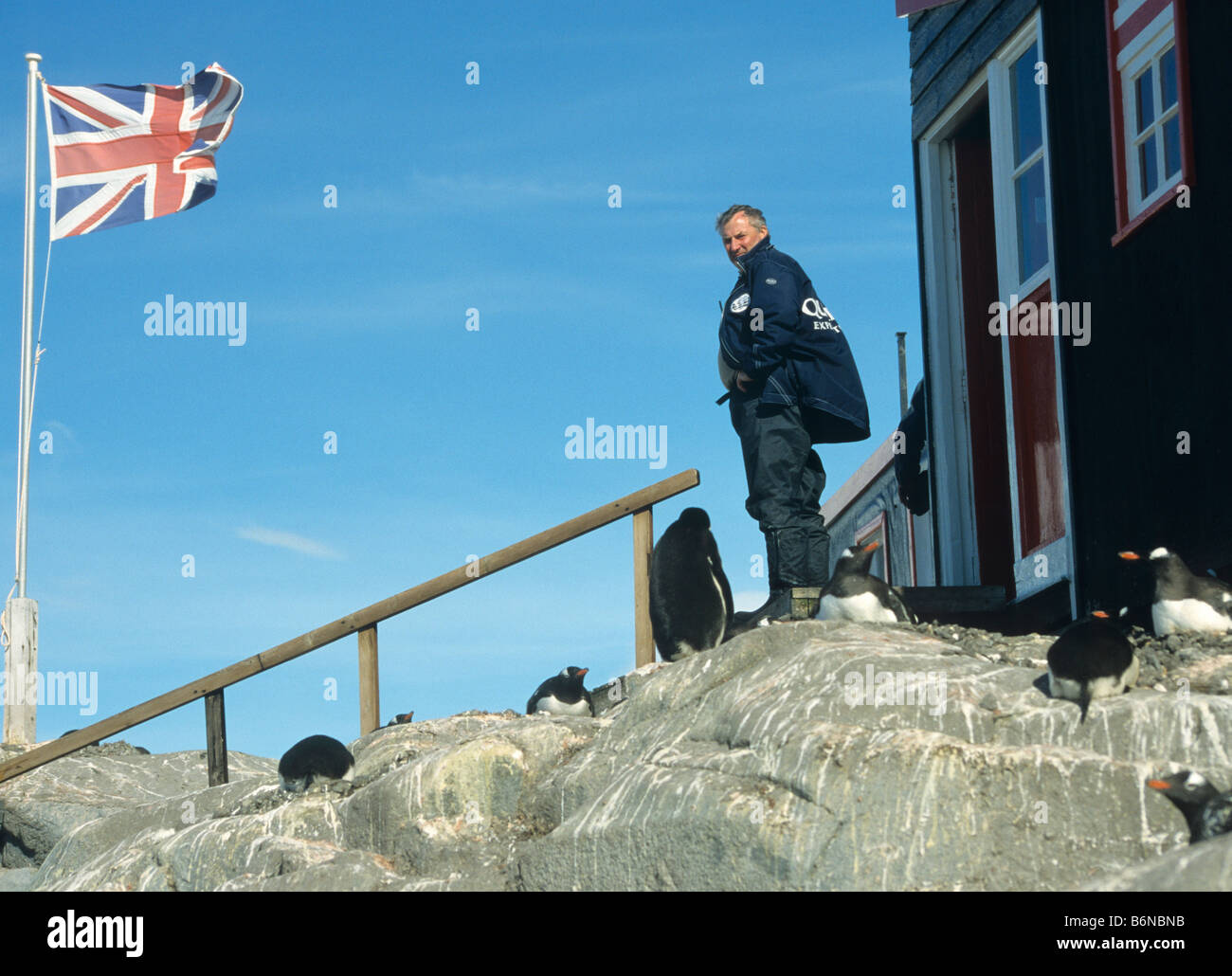 Ein Reiseleiter, der Blick auf die Pinguine außerhalb der ehemaligen british Science in Port Lockroy, antarktische Halbinsel Stockfoto
