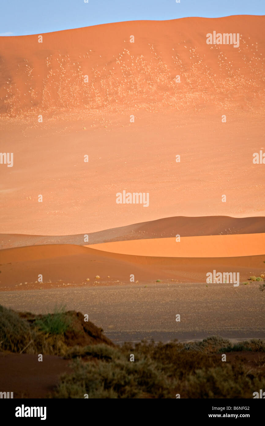 Sanddüne Farben im Bereich der Namib-Wüste-Sossusvlei Namib Naukluft Nationalpark Namibia Stockfoto