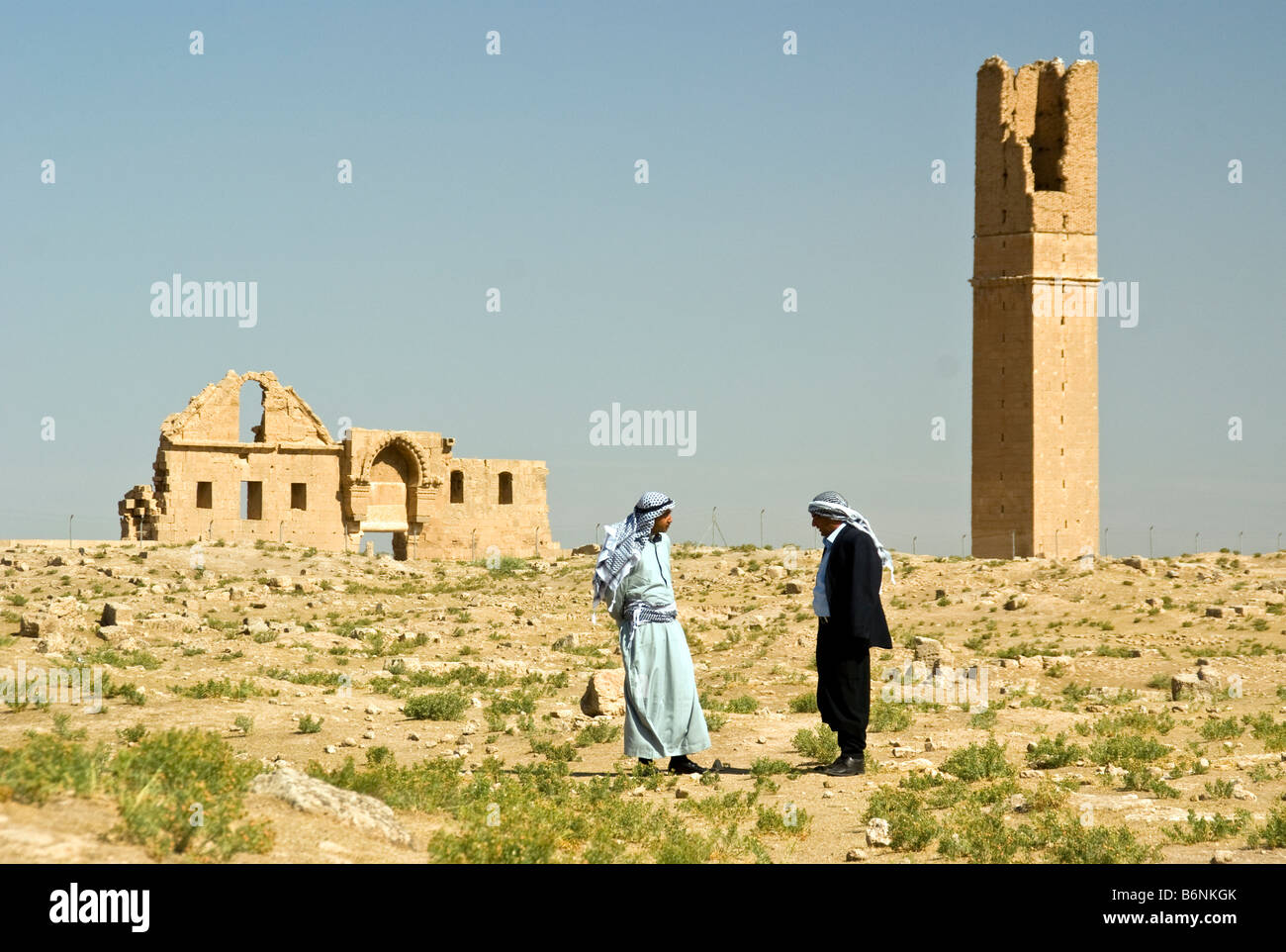 Harran Ruine des alten Ulu Camii, Universität von Harran in Harran Ebene Stockfoto