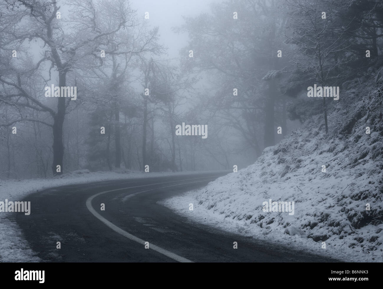 Ice Road mit Nebel bei Estrela Naturpark Gebirge, Portugal Stockfoto