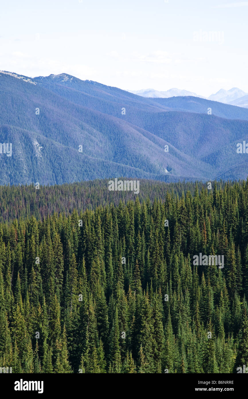 Manning Park Park BC Kanada Stockfoto