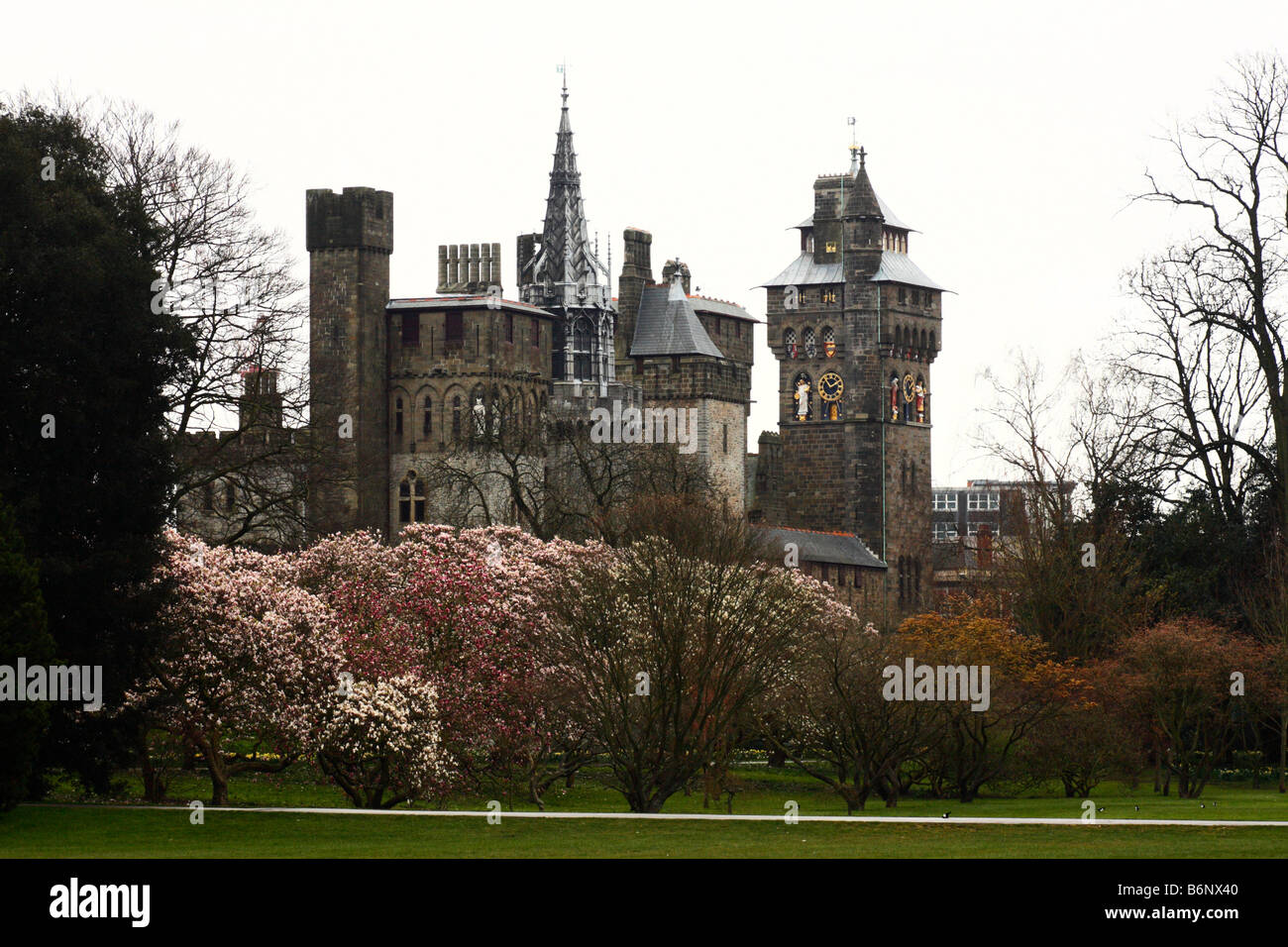Cardiff Castle vom Bute Park aus gesehen, im Frühjahr, Cardiff, Südwales, U.K Stockfoto
