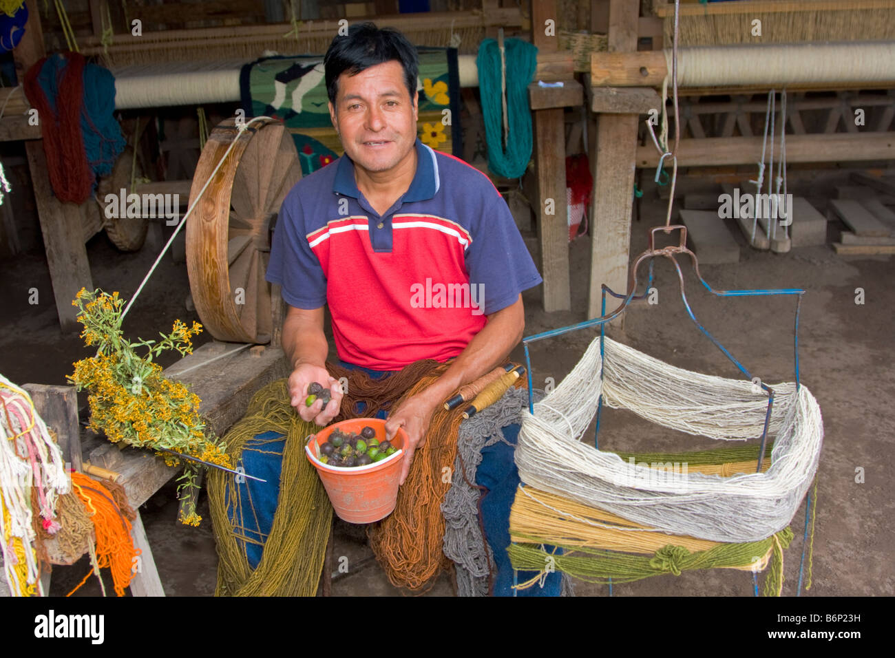 Santa Ana del Valle, Oaxaca, Mexiko. Zapoteken Weaver Ernesto Martinez Cruz zeigt Pflanzen, Früchte verwendet, um natürliche Farben zu produzieren Stockfoto