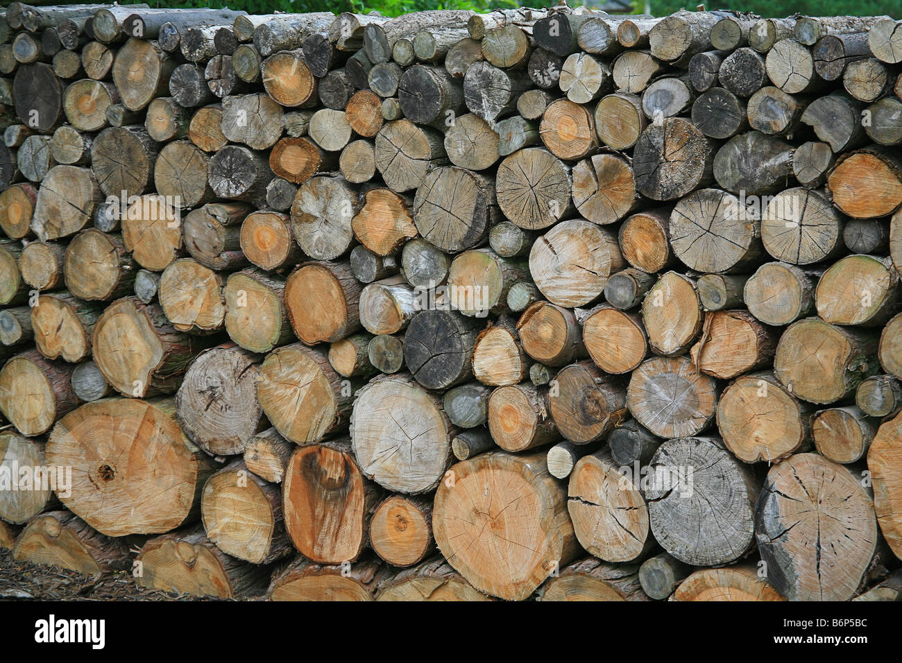Mauer aus gesägten Baumstämmen in Whitley Ridge Hotel nahe Brockenhurst Hampshire England UK Stockfoto