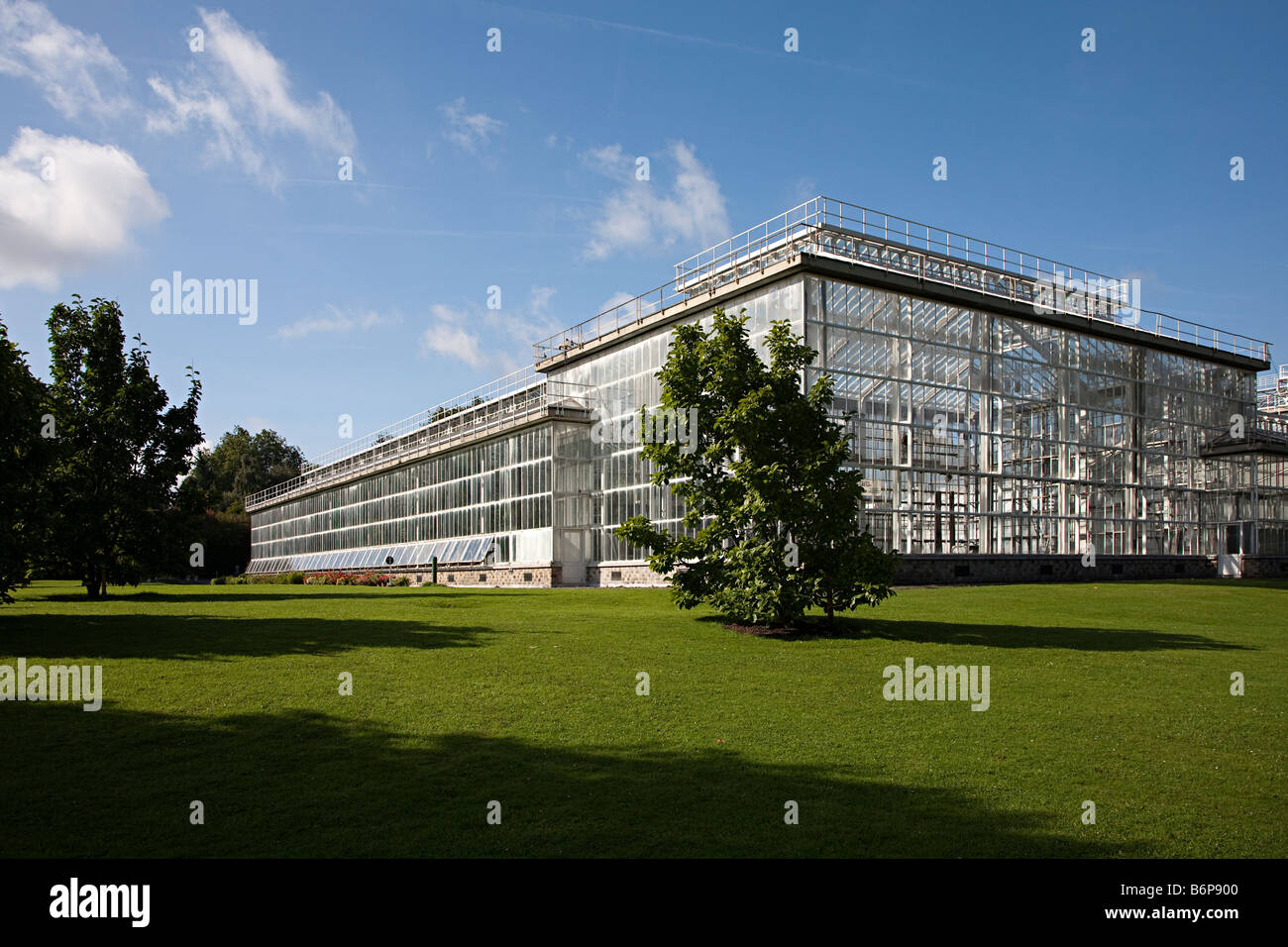 Gewächshaus in National Botanic Gardens Nationale Plantentuin Meise Brüssel Belgien Stockfoto